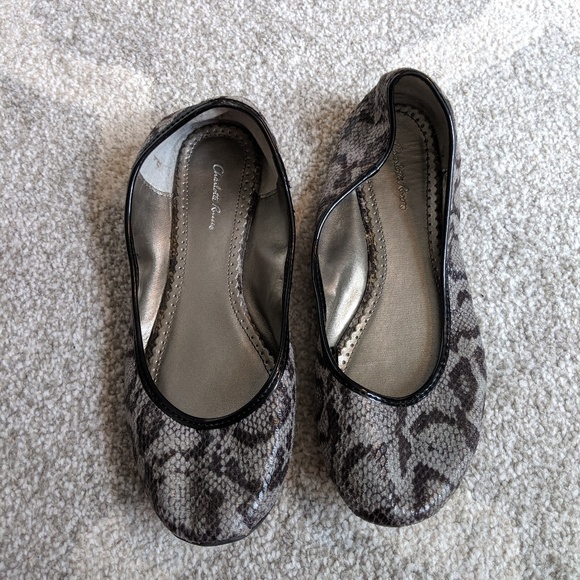 Charlotte Russe Snakeprint Flats - Picture 4 of 8